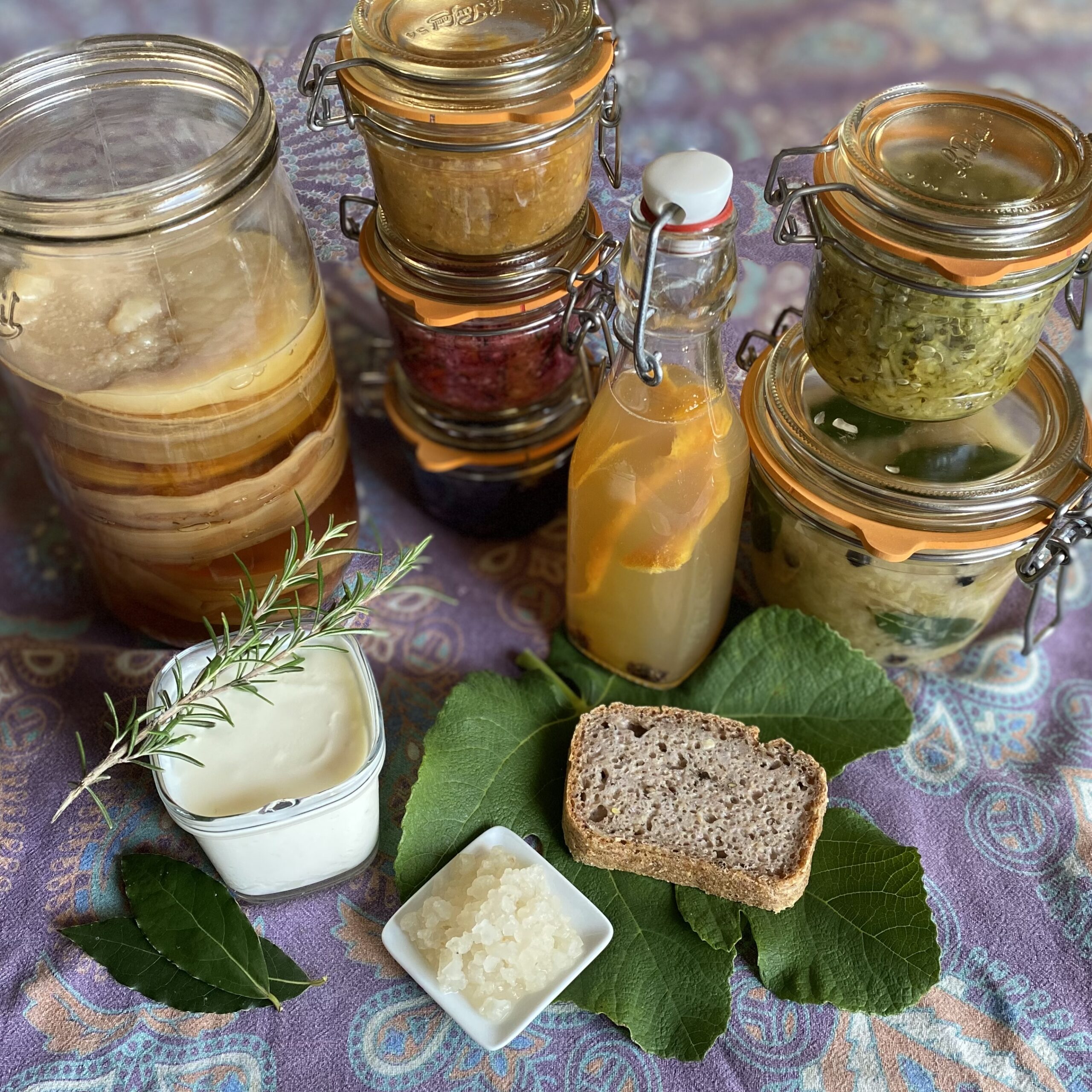 Bocaux et bouteilles de produits fermentés illustrant le stage Fermentations en cuisine des Rencontres Voix & Musiques 2026