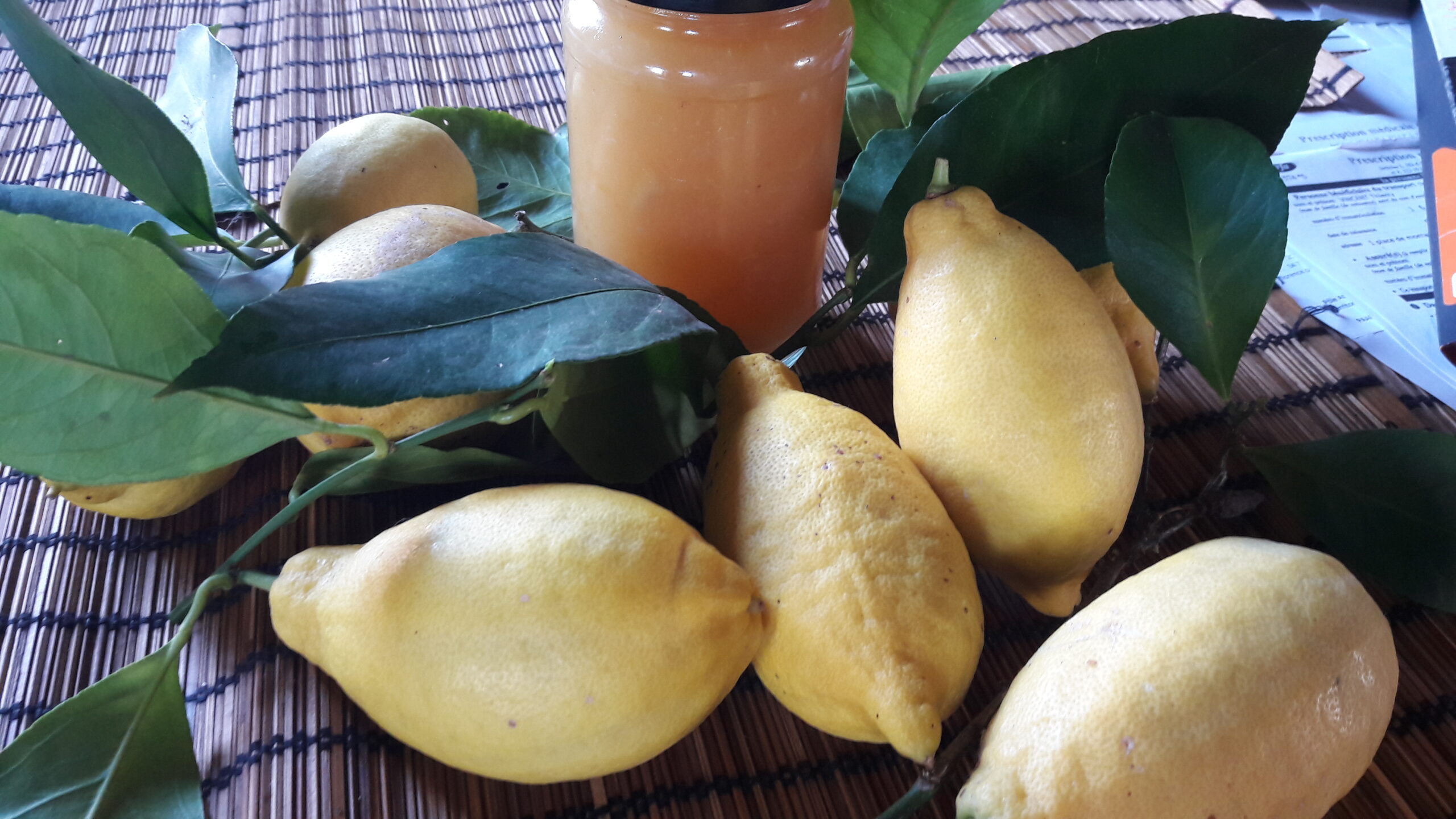 Citrons illustrant le stage théâtre autour des arts de la table